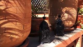 RIAD & SPA LE SECRET DE ZORAIDA