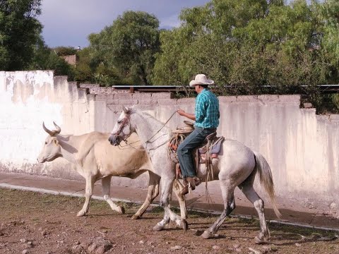 THE CINEMATIC ORCHESTRA feats. ROOTS MANUVA - a caged bird / imitations of life - lyrics