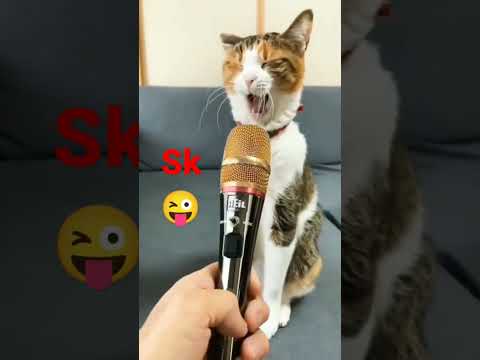 Billy cet cet biliy 😜 #shots