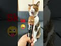 Billy Cet Cet Biliy Shots