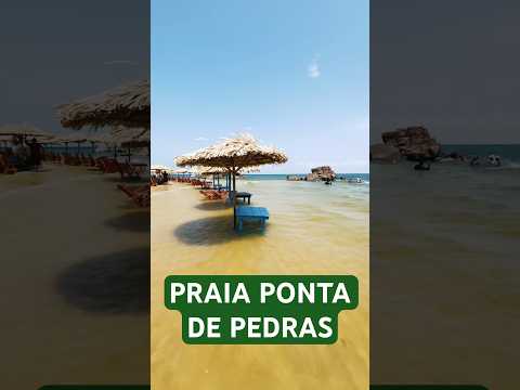 PRAIA PONTA DE PEDRAS SANTARÉM ✈️🌍 GUIABRASILIA 2026