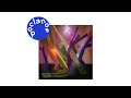 Official Audio WOOL 춤 Dance Feat Jujuland