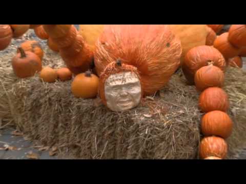 Halloween Pumpkin Zombies Package