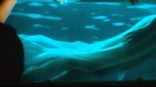 Kosmonova - Take Me Away 1997