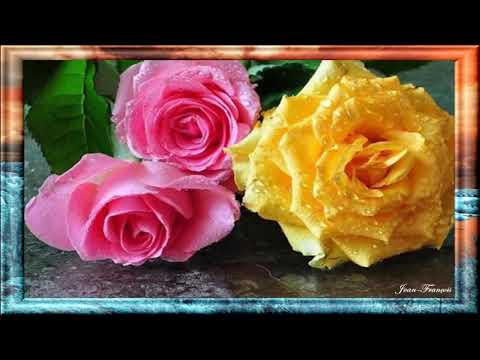 Tango de roses - Giovanni Marradi - Jean-François -:))