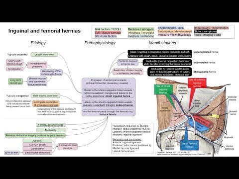 Inguinal and femoral hernias (mechanism of disease)