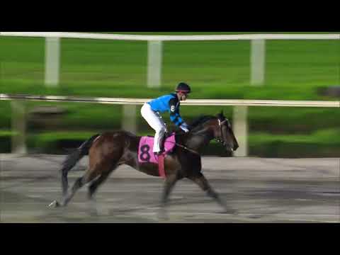 230526 c06 - PALAGIO (BRZ) - HIPODROMO DE MAROÑAS