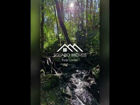 R$ 600 MIL - CHÁCARA 60.000 m², CASA 4 QTS, BARRACÃO, ÁREAS PLANTIO/PASTAGEM, RIACHO, MANDIRITUBA/PR