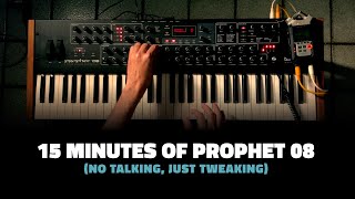 Video thumbnail for 15 minutes of Prophet 08 (no talking, just tweaking) by william paiva