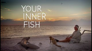 Your Inner Fish | PBS Series Trailer (2014)