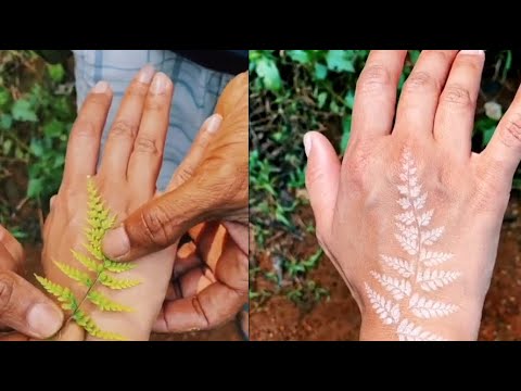 Plants That Give Tattoos - YouTube