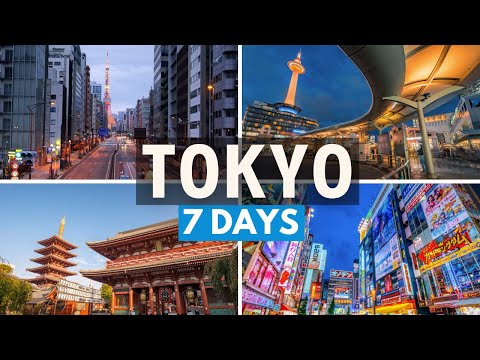 How to Spend 7 Days in Tokyo, Japan | Tokyo Travel Guide 2024