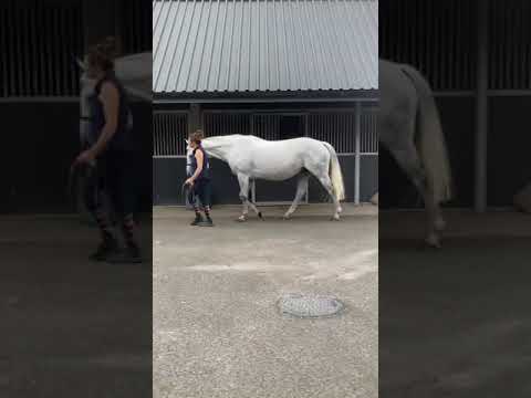 Video 1