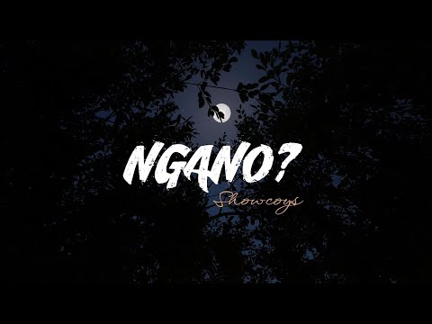 Ngano? (Official Lyric Video) - Showcoys