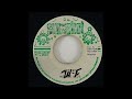 Horace Andy "Get Wise"/"Version" (Sunshot)