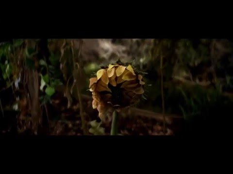 Yaamigo - KATHARSIS (mash-up)