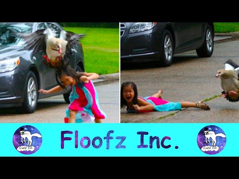 The Ultimate Geese Attack Compilation!