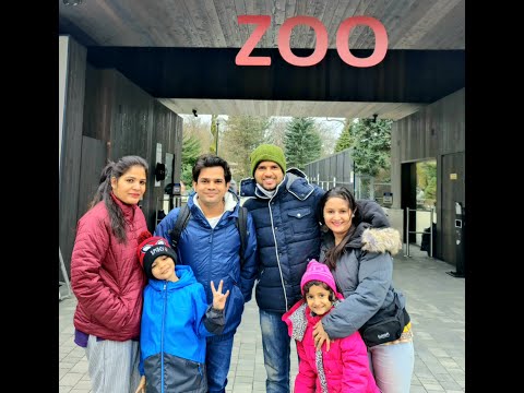 Poland Zoo 4 K View, Krakow - Watch Till end for Penguin (Check Description for Details)