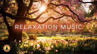 Relaxing Meditation Music | Stress Relief Music, Spa Music, Zen Music, Deep Sleeping Music