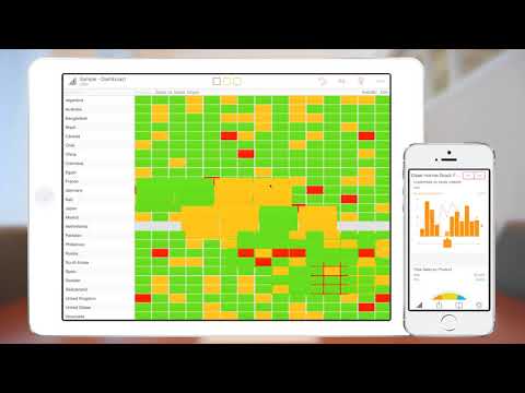 Видео SAP Roambi