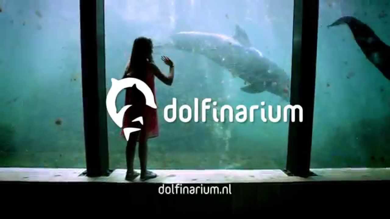 Delfinarium Harderwijk