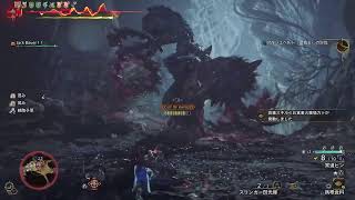 [モンハンワイルズ]歴戦王アルシュベルド❕
