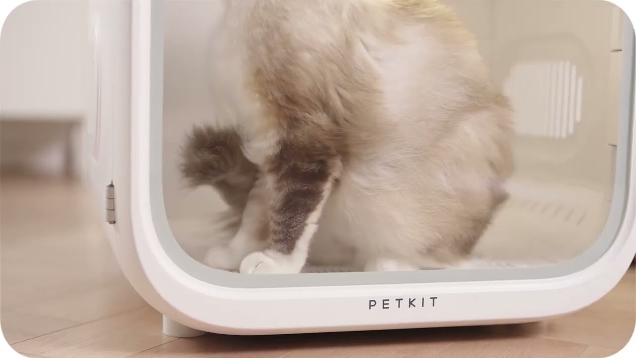 Сушка PETKIT AIRSALON Max PRO Smart Pet Dryer video preview