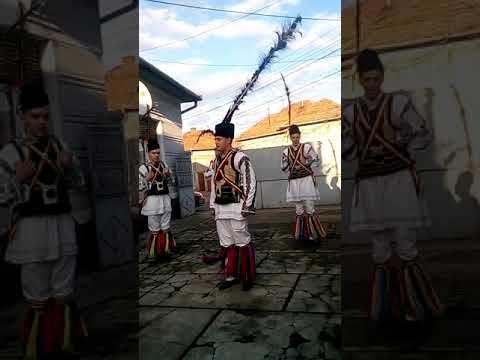 Catlsari de la bosorod