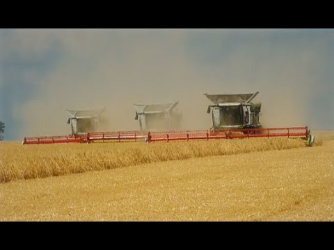 Ernte 2022 / 3 x Claas Lexion Neue Generation / RAW SOUND +  Drohne / Part 2