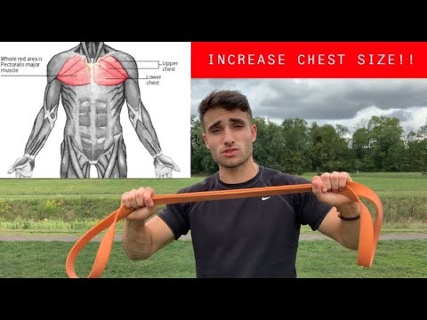 Two BEST Resistance Band Chest Exercises For Building Mass & Strength | Videos Included
