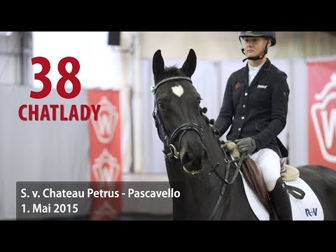 38 Chatlady Stute v. Chateau Petrus - Pascavello