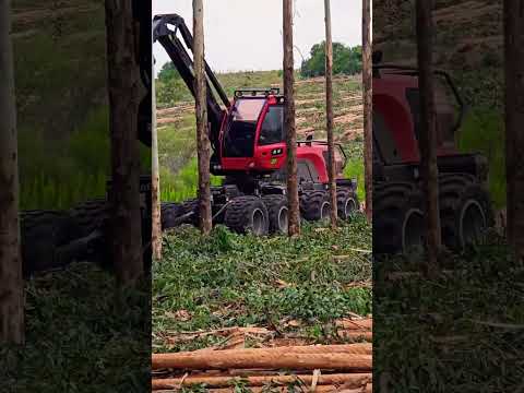 Komat’su 931 Guichón, Paysandú-Uruguay. #viralvideo #shorts #video #viralvideos #forest