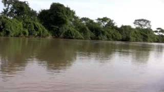 preview picture of video 'Venezuela Apure River - Los Llanos Safari'