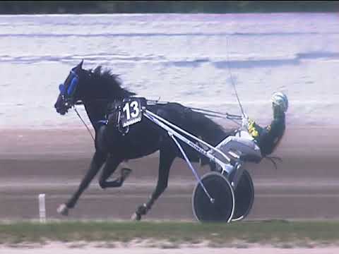 Trotto 10/05/2019 - 3ª corsa