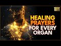 Healing Prayers For Every Organ In Your Body