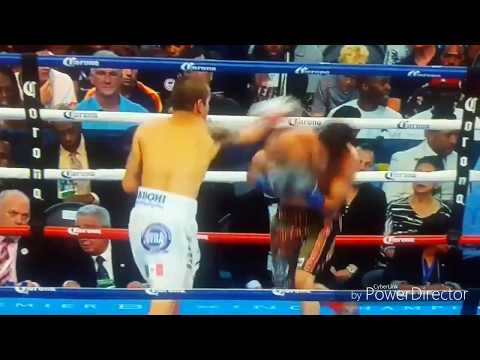 Danny Roman vs Moises Flores 1-6round Highlights