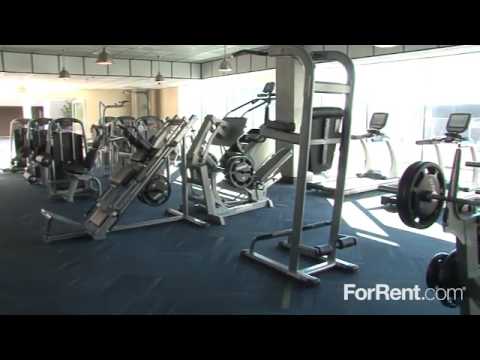 1600 VINE Apartments in Hollywood, CA - ForRent.com