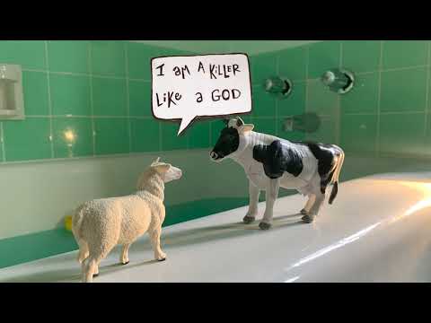 onlymp3 to   Fantastic Cat paM PtBALoM 192k 1659347658665