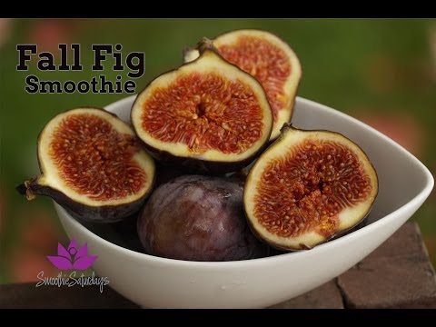 download lagu mp3 mp4 Figs In Syrup Middle Eastern, download lagu Figs In Syrup Middle Eastern gratis, unduh video klip Figs In Syrup Middle Eastern