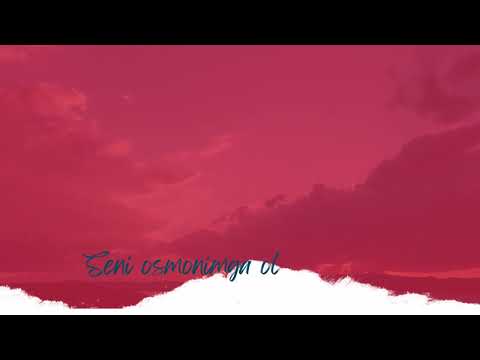 Nadyr Seni osmonimga olib ketaman Cover Yulduz Usmonova