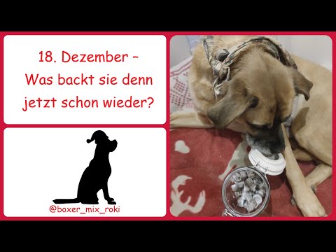 Rokis Adventskalender: 18. Dezember – Was backt sie denn jetzt schon wieder?