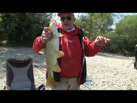 FEEDEROM NA PROLJETNE MRENE - Ninoslav Žagar