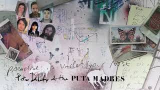 Peter Doherty  & The Puta Madres - Paradise Is Under Your Nose video