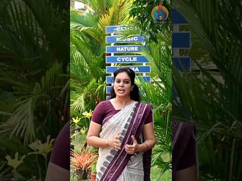 Journalism Video 4