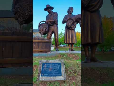 Monumentos da bela Videira SC!