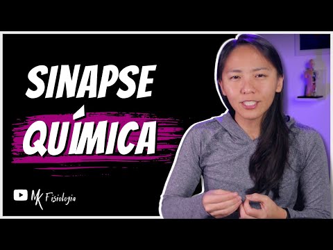 TRANSMISSÃO SINÁPTICA QUÍMICA: SINAPSE QUÍMICA | MK Fisiologia
