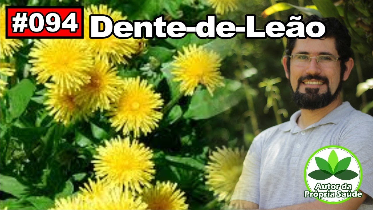 Autor da Própria Saúde – Dente de Leão [colesterol, gordura no fígado, diabetes, alergias]