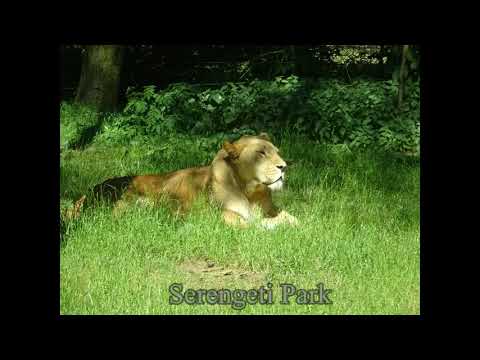 Eine Woche Centerpark Bispinger Heide