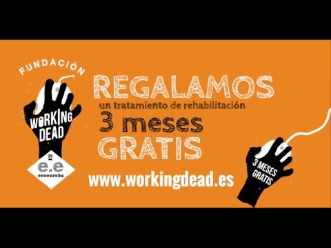 ECOEUREKA | Agencia de Marketing Digital Miniatura de video de YouTube 6