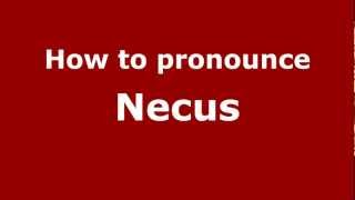 How to pronounce Necus